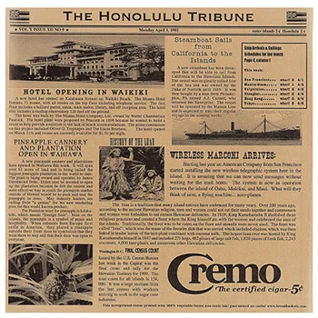 Clipper Mill - 4-TH1700 - Honolulu Tribune Newsprinted Tissue Liners - Case of 1000