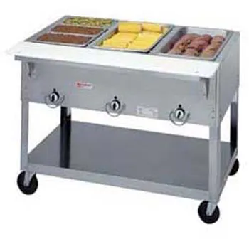 Duke EP302 - Aerohot Electric Hot Food Table - Portable 2 Wells, 30-3/8" W 