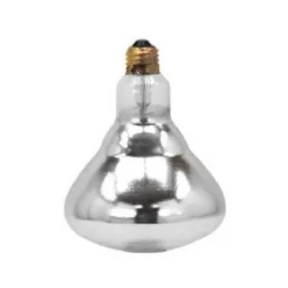 Buffet Enhancements - 010HB110 - Heat Lamp Bulb for Carving Stations