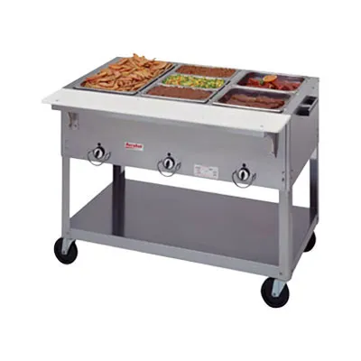 Duke EP303 - Aerohot Electric Hot Food Table - Portable 3 Wells, 44-4/8" W 