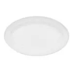 C.A.C. China TST-12 - Transitions Platter 9-1/2" - (2 Dozen per Case)