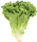 Lettuce